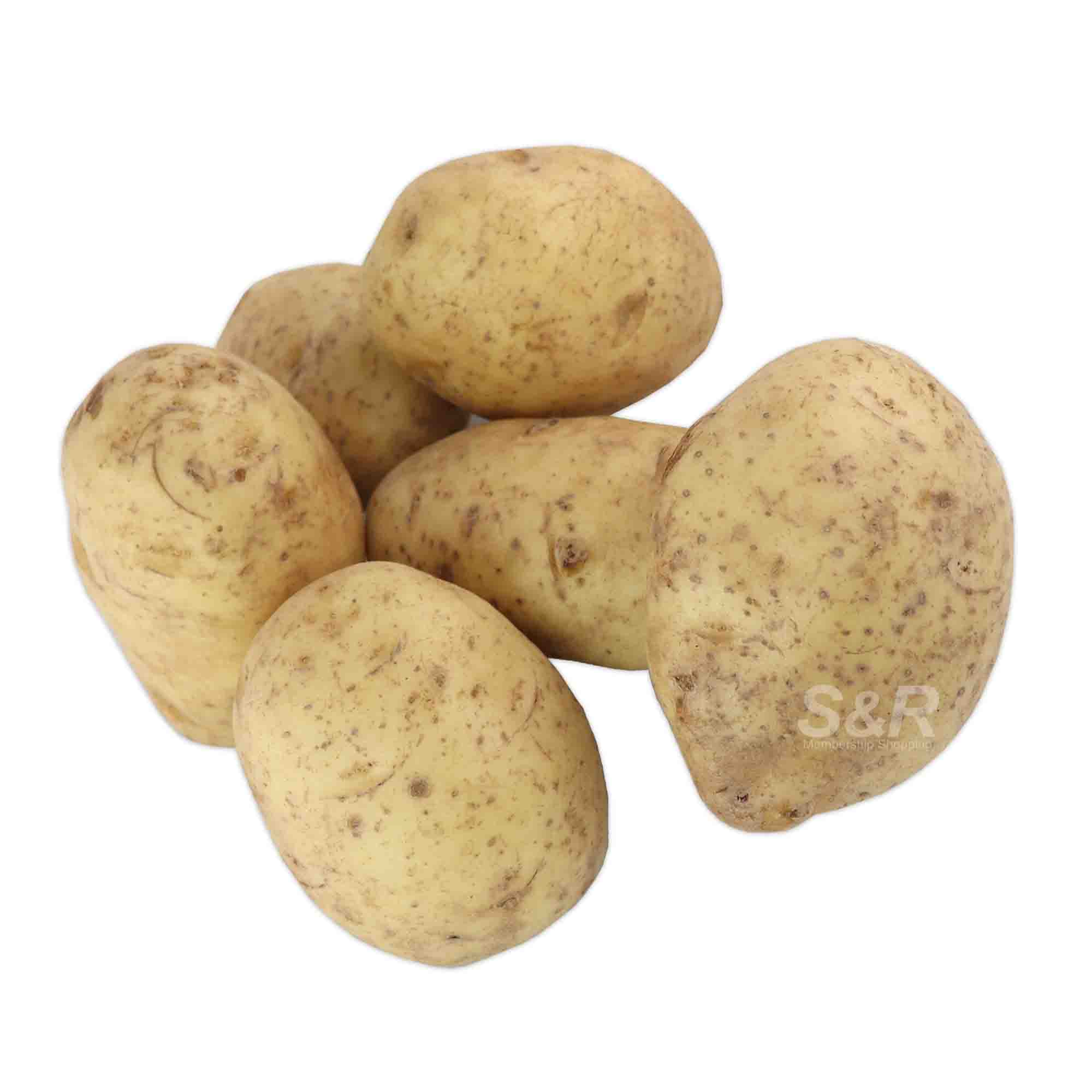S&R Jumbo Potato approx. 1.5kg S&R Jumbo Potato approx. 1.5kg